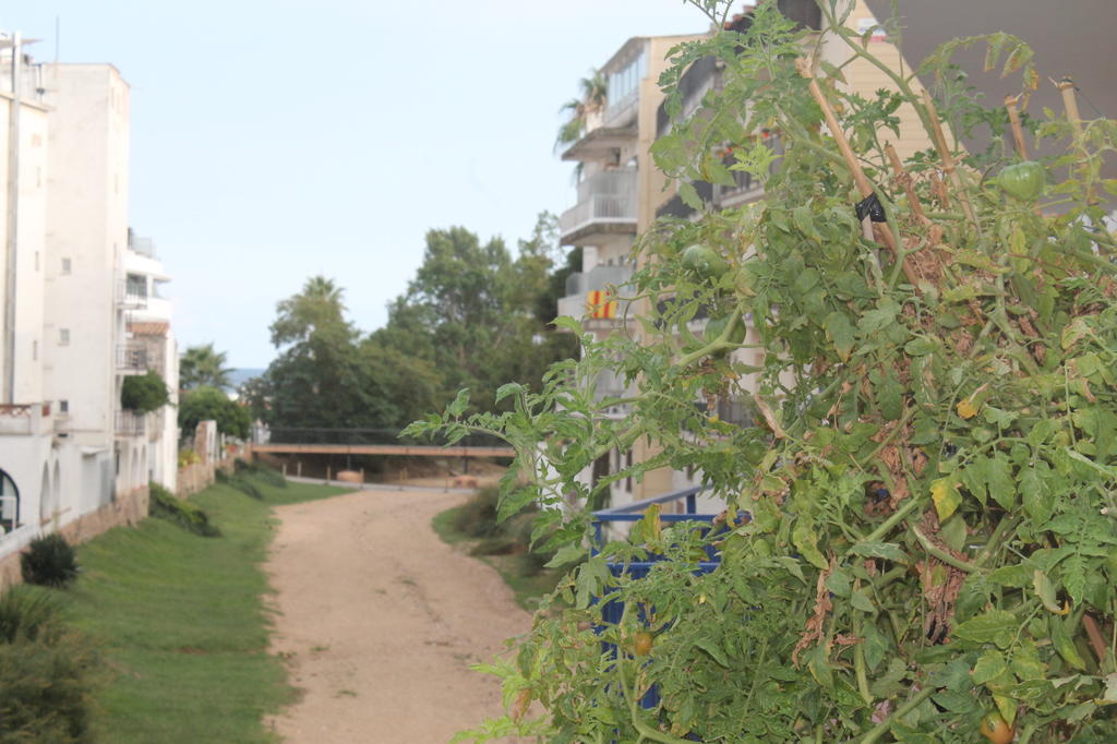 Apartaments Can Claudi Τόσα ντε Μαρ Εξωτερικό φωτογραφία